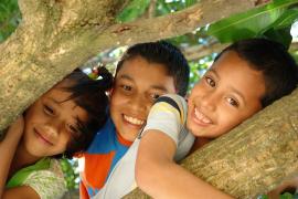 Climbing trees - photo: M. Reyes