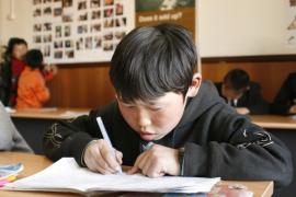 Young boy during class - photo: C. Martinelli