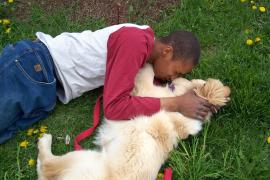 Man's best friend - photo: SOS Archives