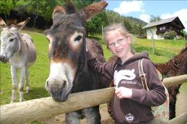 Animals help children overcome trauma - photo: Sandra Muehlburger