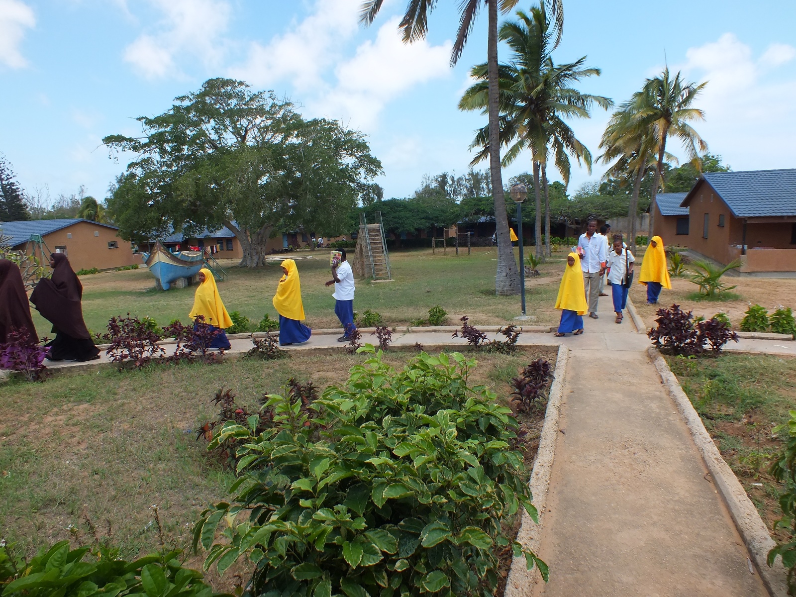 Waiting for treatment - photo: H. Atkins Waiting for treatment - photo: H. Atkins