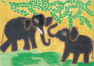 If you were an animal, what would you be? - SOS Children's Villages USA If you were an animal, what would you be? - SOS Children's Villages USA