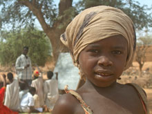 Photo: Y. van den Broek