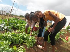 Children having fun as they harvest fresh vegetables for lunch (photo: SOS archives).