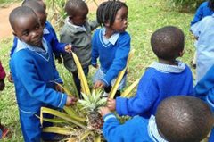 Young children from the SOS Kindergarten visiting an educational farm (photo: SOS archives).