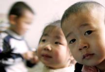 Photo: Benno Neeleman