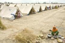 Photo: Benno Neeleman